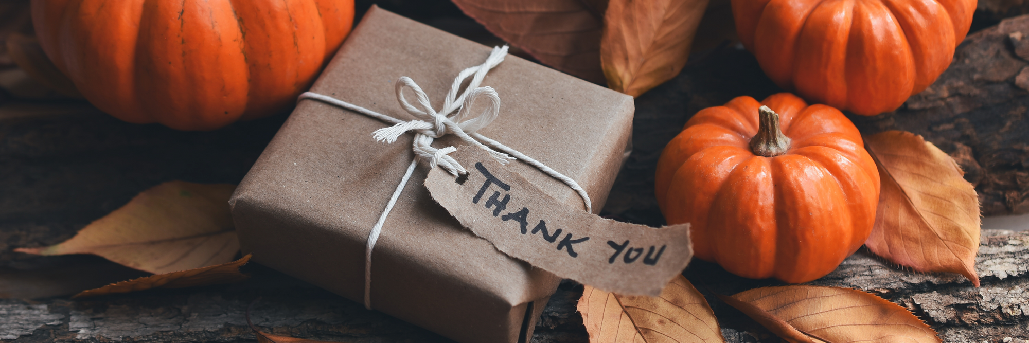 5 Ways To Show Gratitude To Your Virtual Assistants This Thanksgiving
